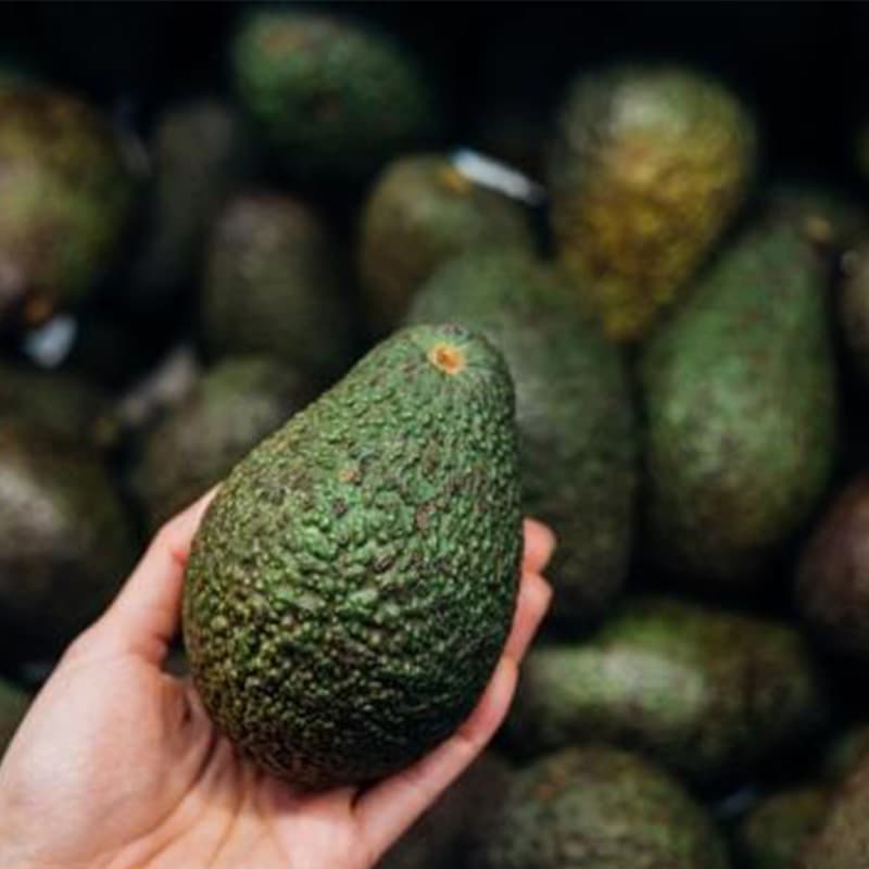 images/1666080025320avocado grader.jpg